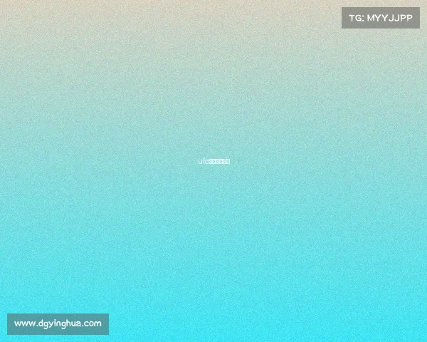 ufc格斗赛事小鹰